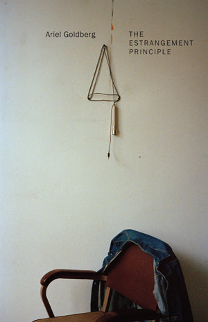 The Estrangement Principle - Ariel Goldberg (Nightboat Books)