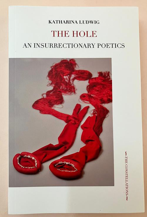 Katharina Ludwig, THE HOLE. AN INSURRECTIONARY POETICS