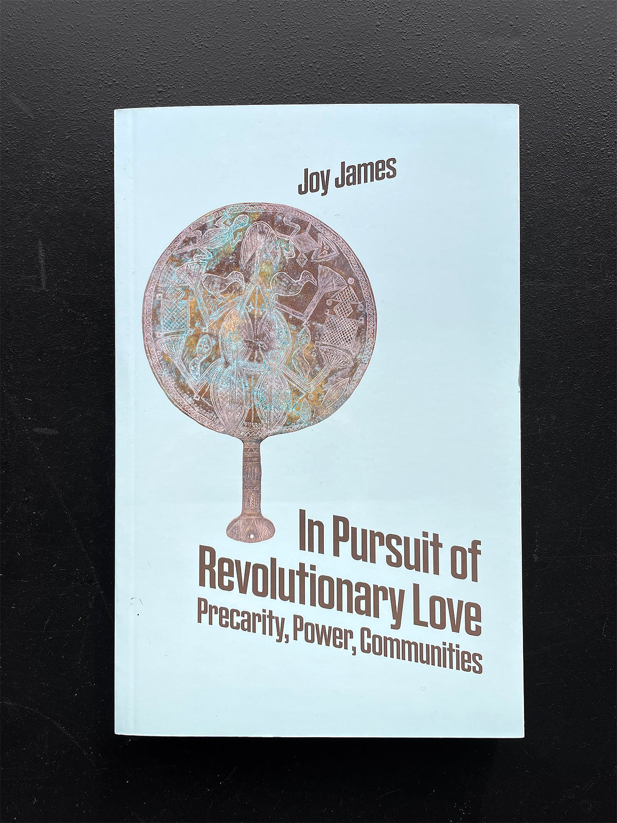 In Pursuit of Revolutionary Love: Precarity, Power, Communities - Joy James (Divided Books)