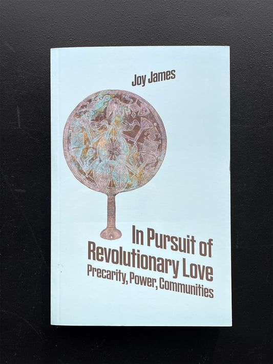 In Pursuit of Revolutionary Love: Precarity, Power, Communities - Joy James (Divided Books)
