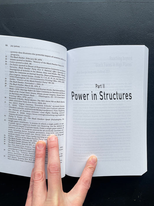 In Pursuit of Revolutionary Love: Precarity, Power, Communities - Joy James (Divided Books)