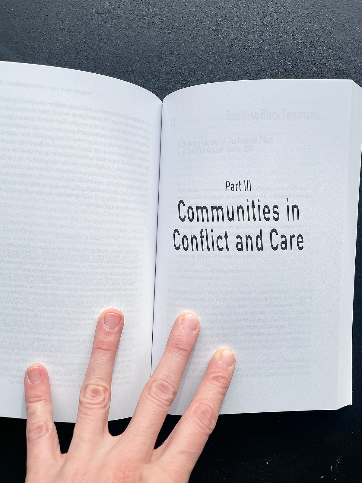 In Pursuit of Revolutionary Love: Precarity, Power, Communities - Joy James (Divided Books)