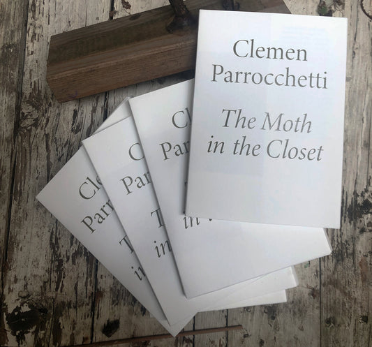 The Moth in the Closet - Clemen Parrocchetti (ChertLüdde editions)