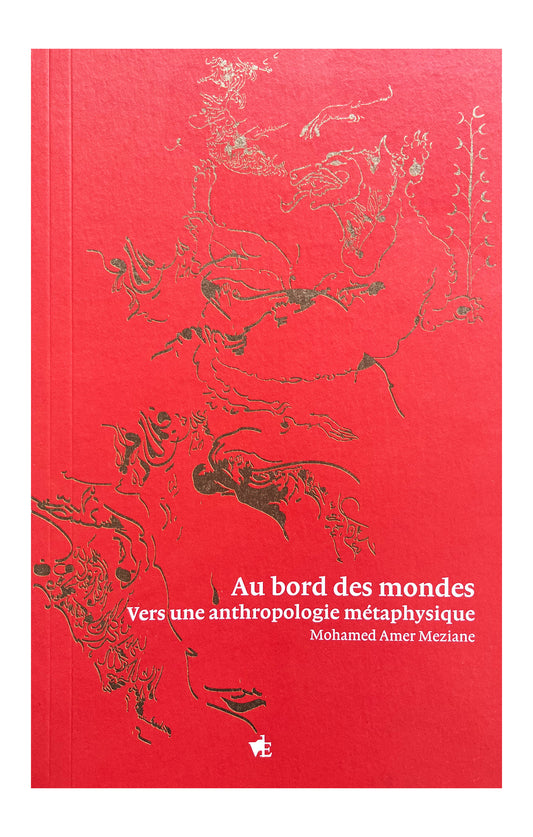 Au bord des mondes: Vers une anthropolgie métaphysique - Mohamed Amer Meziane (Editions Vues de l’Esprit)