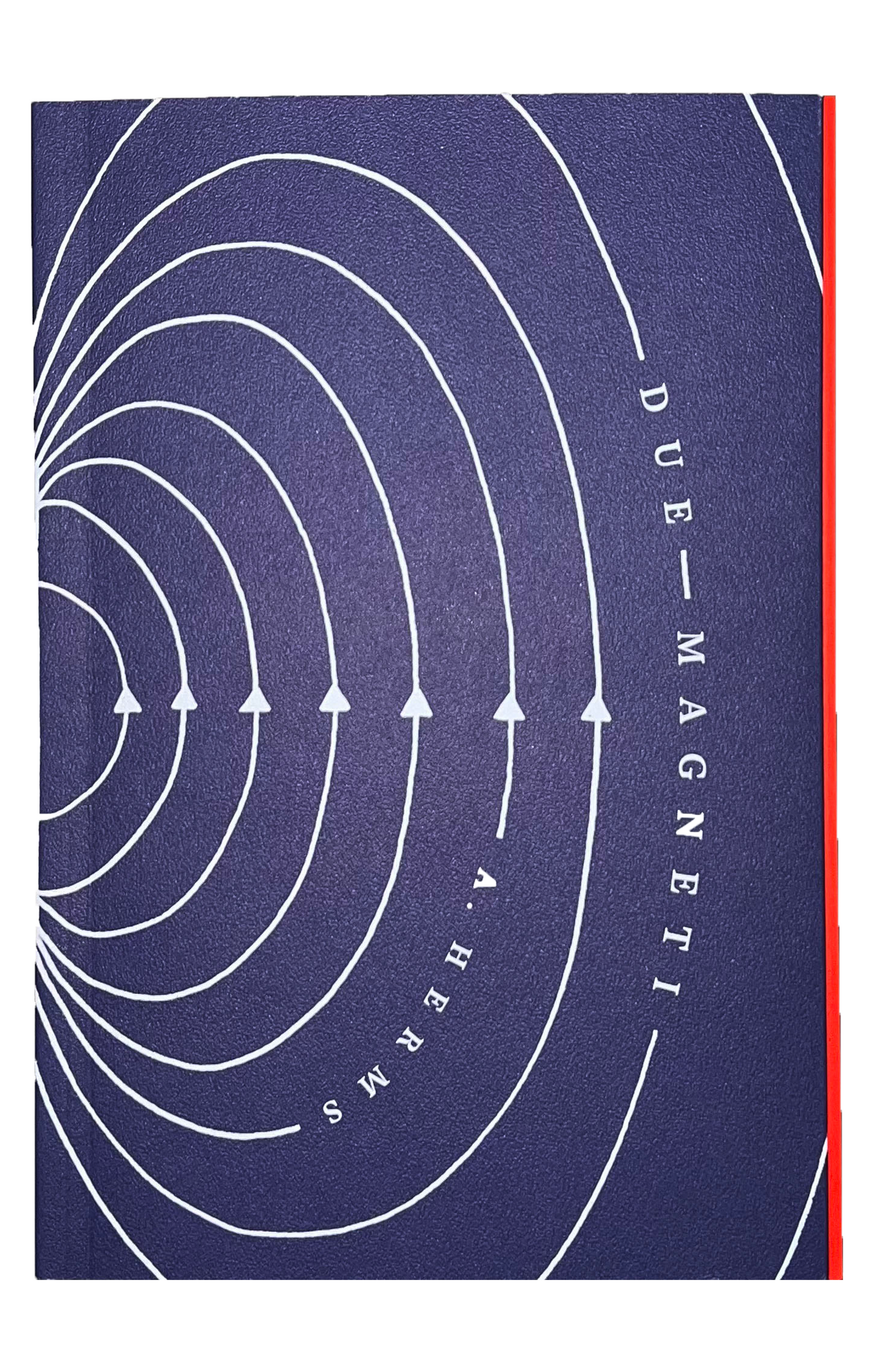 Due Magneti - A. Herms (Possible Books)