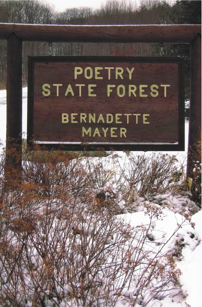 Poetry State Forest - Bernadette Mayer (New Directions)