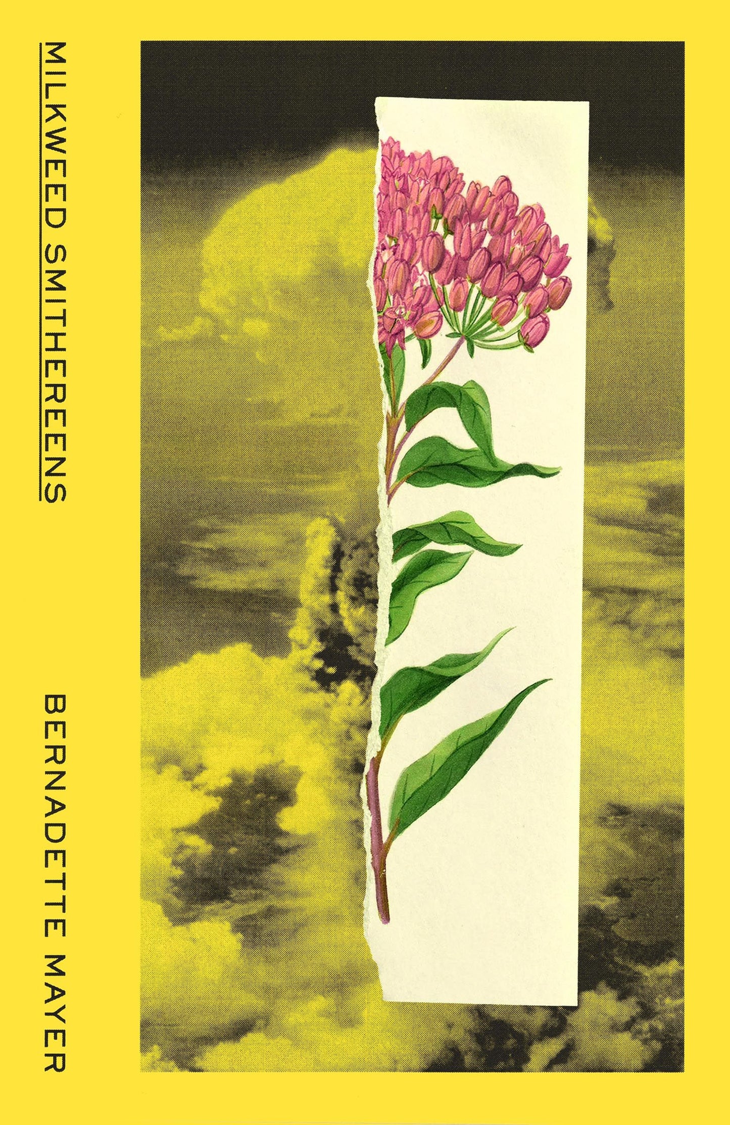 Milkweed Smithereens - Bernadette Mayer (W.W. Norton)