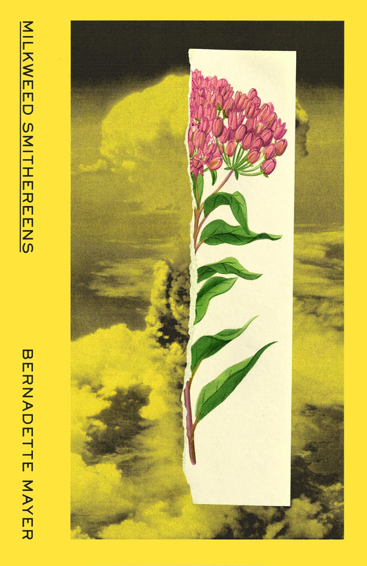 Milkweed Smithereens - Bernadette Mayer (W.W. Norton)