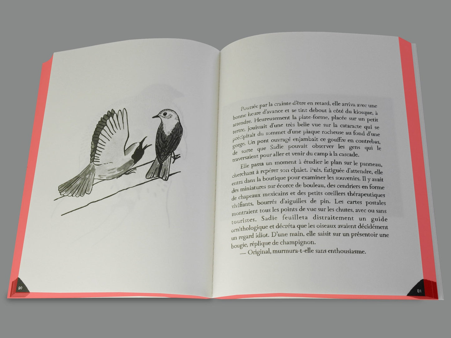Camp Catalog - Jérémie Gindre