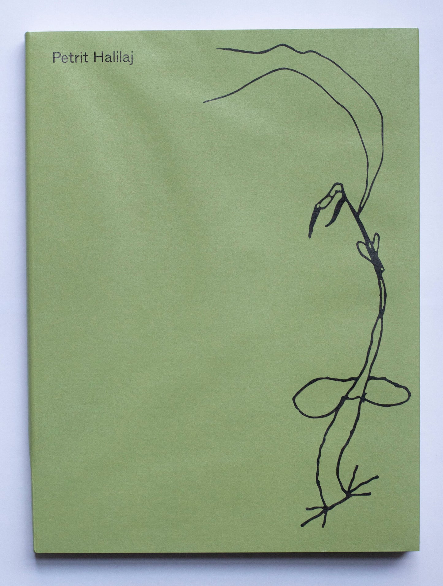 Petrit Halilaj – Exhibitions Catalogue. Verlag der Buchhandlung Walther König - Petrit Halilaj