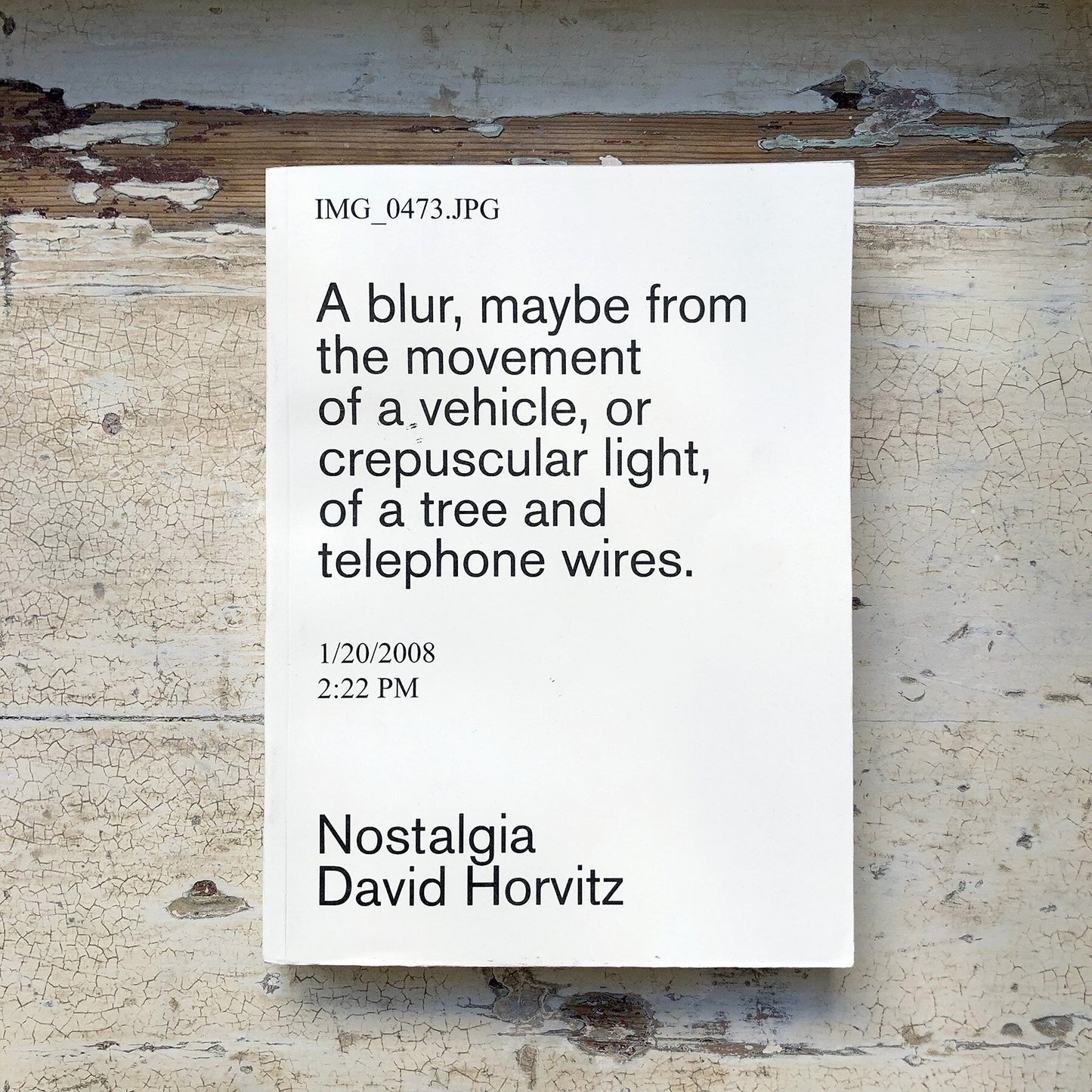 Nostalgia (2nd issue) - David Horvitz (Gato Negro Ediciones, Yvon Lambert, ChertLüdde)