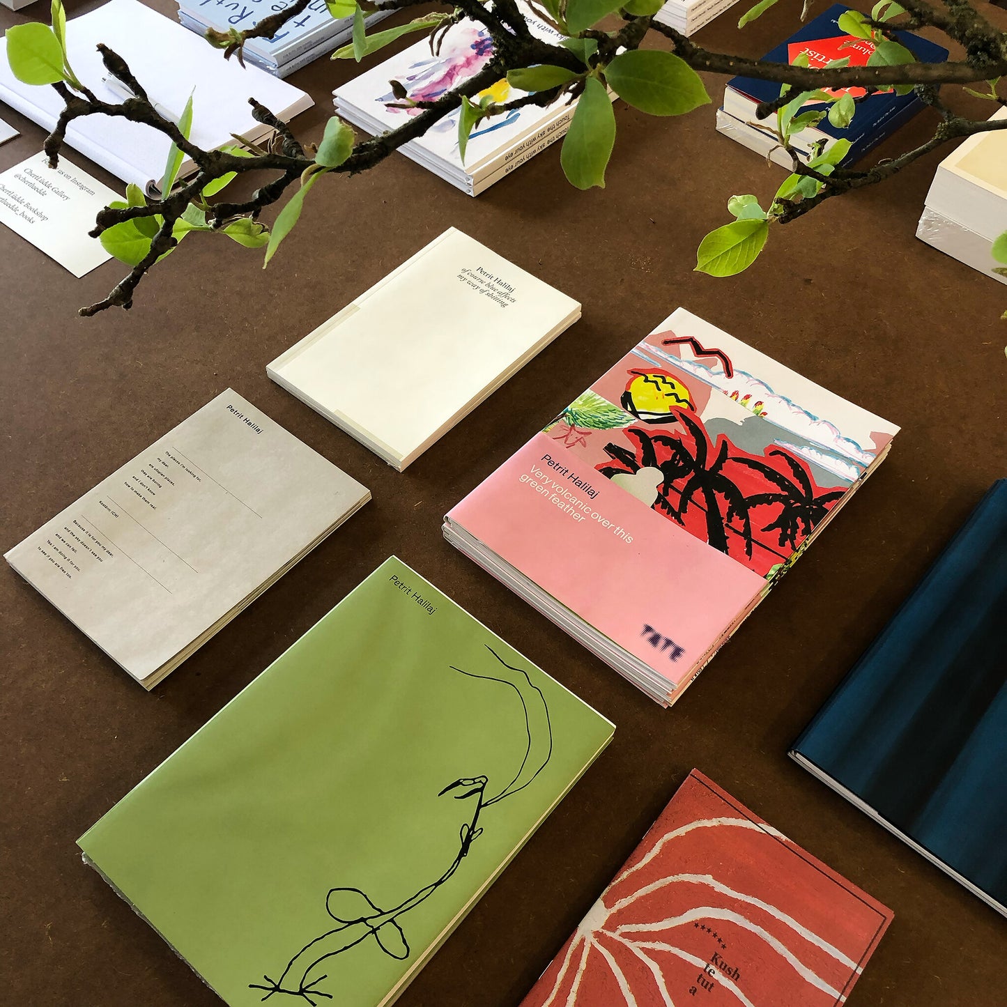 Petrit Halilaj – Exhibitions Catalogue. Verlag der Buchhandlung Walther König - Petrit Halilaj