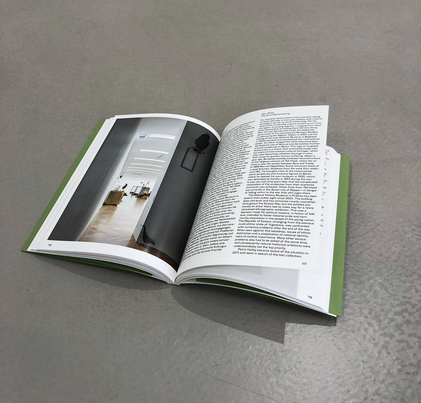 Petrit Halilaj – Exhibitions Catalogue. Verlag der Buchhandlung Walther König - Petrit Halilaj