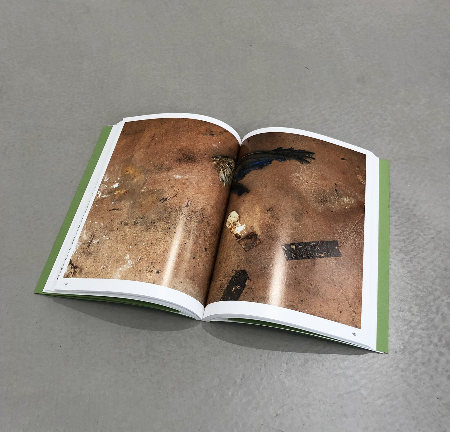 Petrit Halilaj – Exhibitions Catalogue. Verlag der Buchhandlung Walther König - Petrit Halilaj