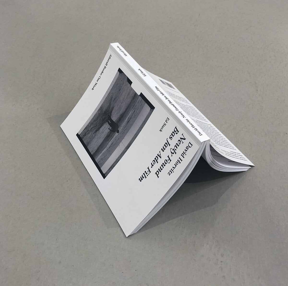 Newly Found Bas Jan Ader Film - David Horvitz
