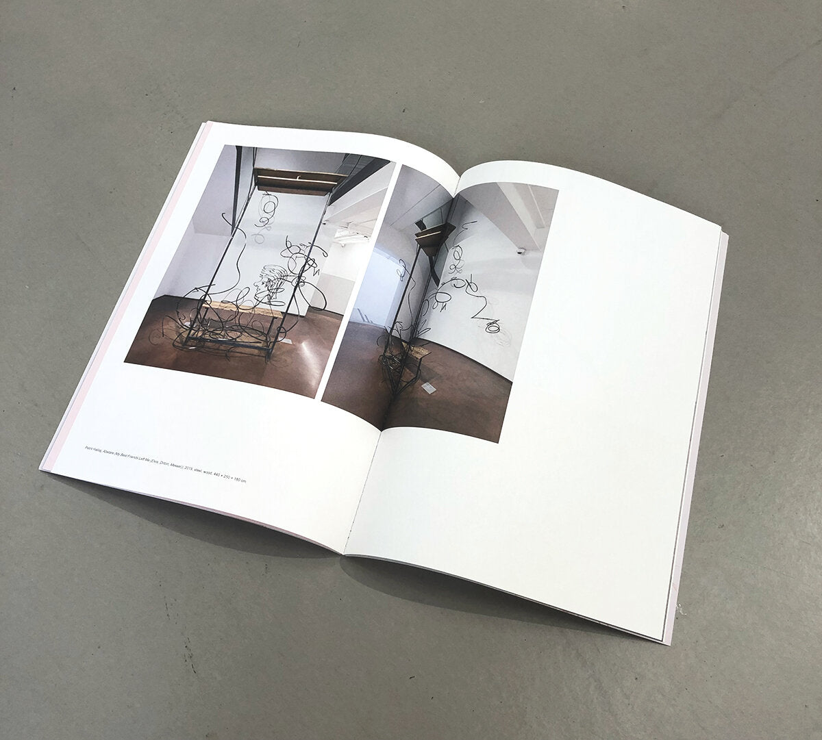 A Shiver in Search of a Spine - Sol Calero, Kasia Fudakowski, Petrit Halilaj, Zora Mann