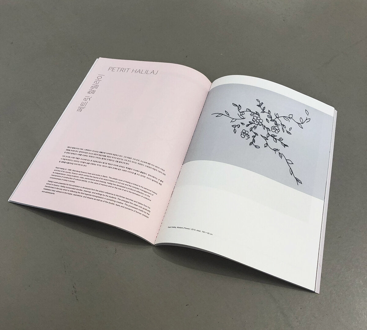A Shiver in Search of a Spine - Sol Calero, Kasia Fudakowski, Petrit Halilaj, Zora Mann
