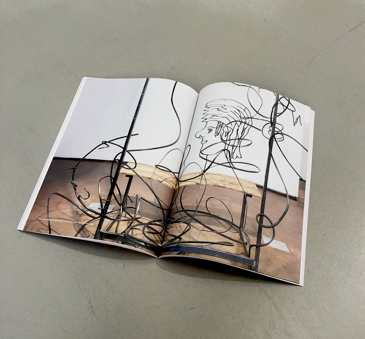 A Shiver in Search of a Spine - Sol Calero, Kasia Fudakowski, Petrit Halilaj, Zora Mann