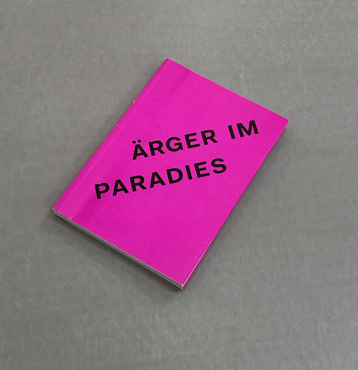 Ärger im Paradies - Susanne Kleine and Rein Wolfs (BundesKunsthalle)