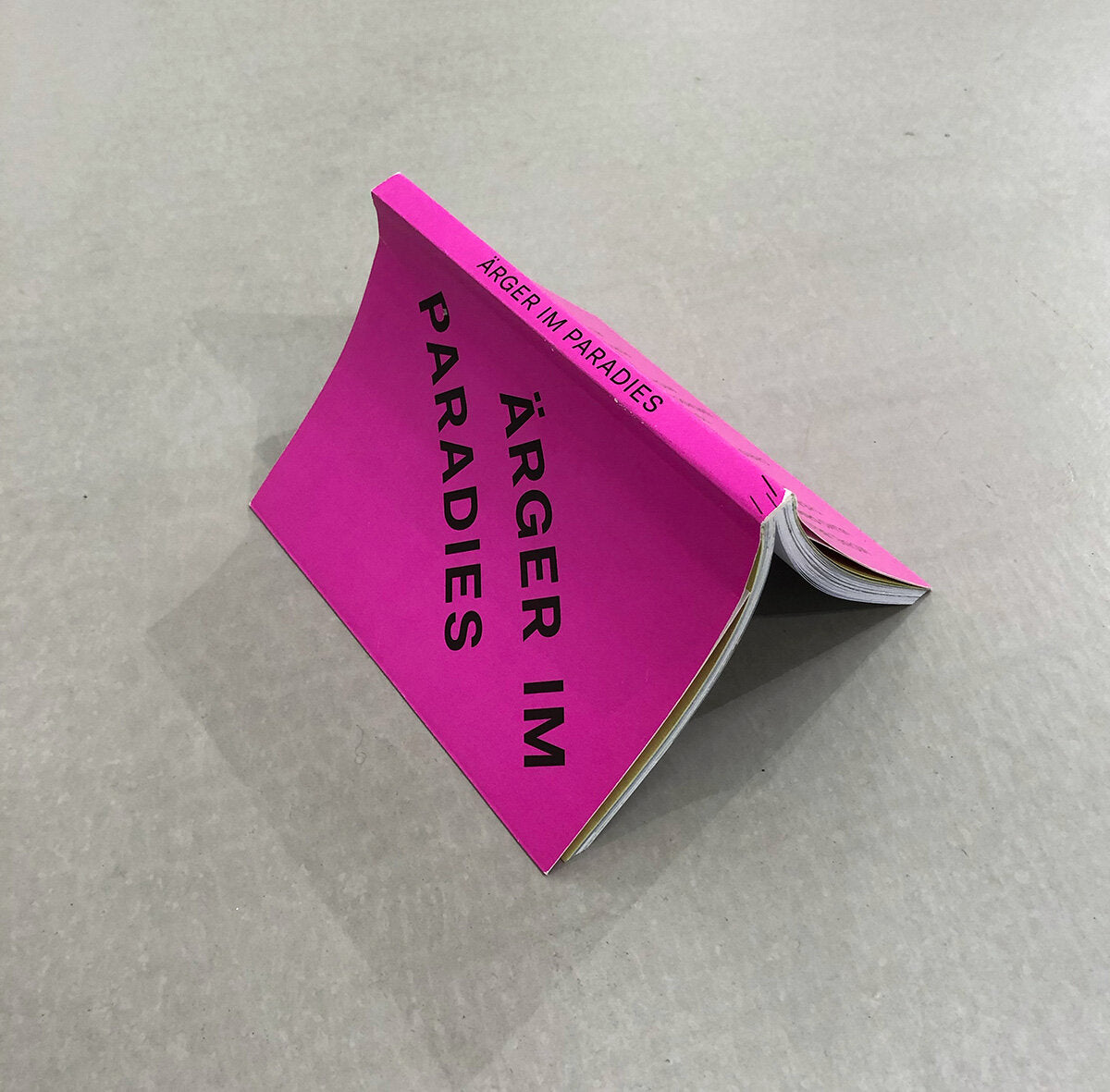 Ärger im Paradies - Susanne Kleine and Rein Wolfs (BundesKunsthalle)