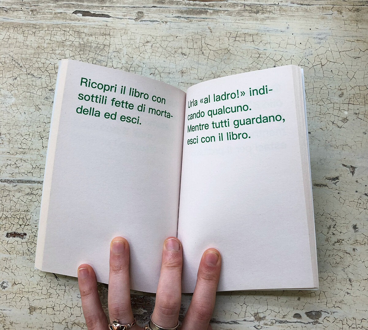 Come rubare libri - David Horvitz (ChertLüdde and Mousse Publishing)