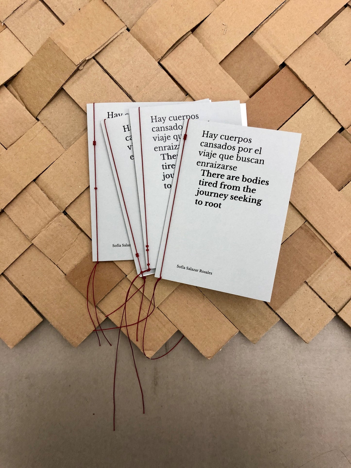 Hay cuerpos cansados por el viaje que buscan enraizarse (There are bodies tired from the journey seeking to root) - Sofía Salazar Rosales (ChertLüdde)