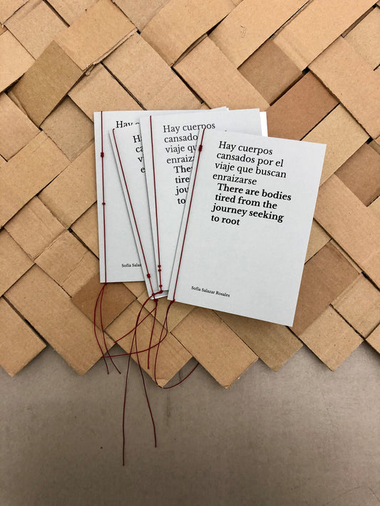 Hay cuerpos cansados por el viaje que buscan enraizarse (There are bodies tired from the journey seeking to root) - Sofía Salazar Rosales (ChertLüdde)
