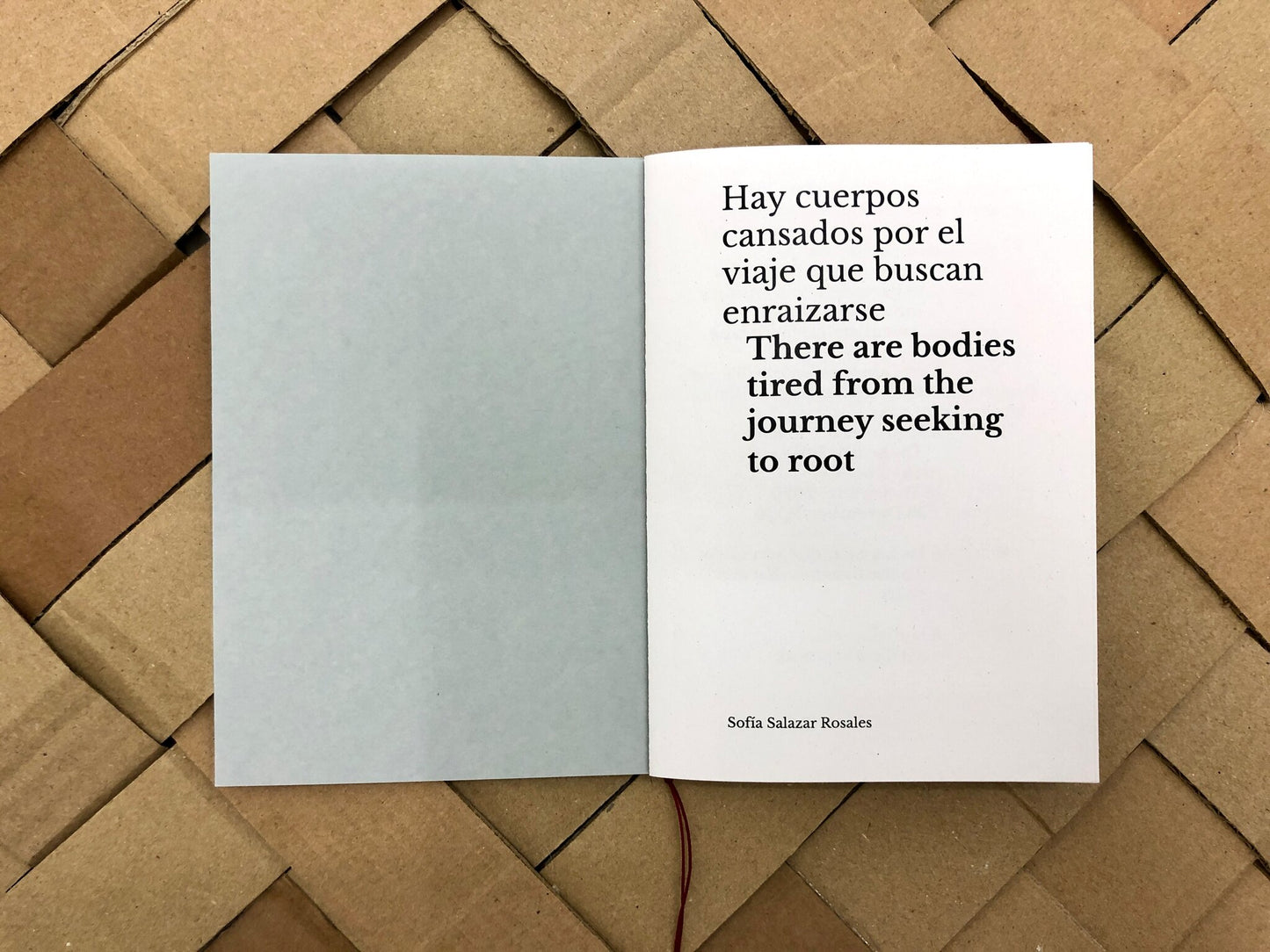 Hay cuerpos cansados por el viaje que buscan enraizarse (There are bodies tired from the journey seeking to root) - Sofía Salazar Rosales (ChertLüdde)