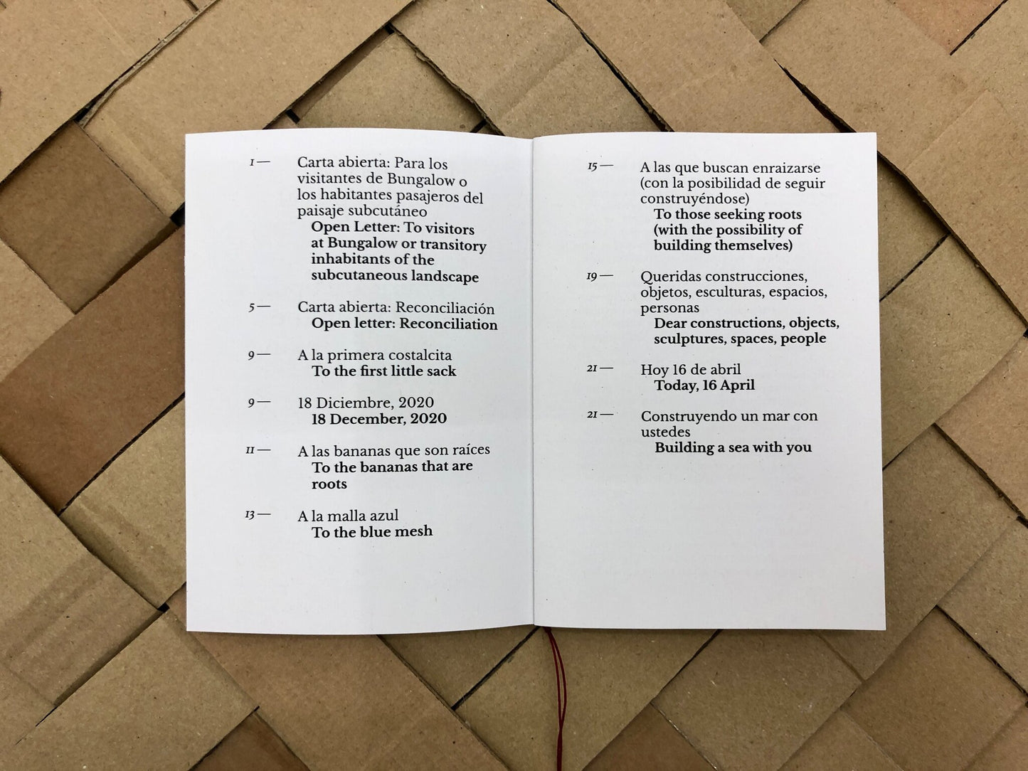 Hay cuerpos cansados por el viaje que buscan enraizarse (There are bodies tired from the journey seeking to root) - Sofía Salazar Rosales (ChertLüdde)