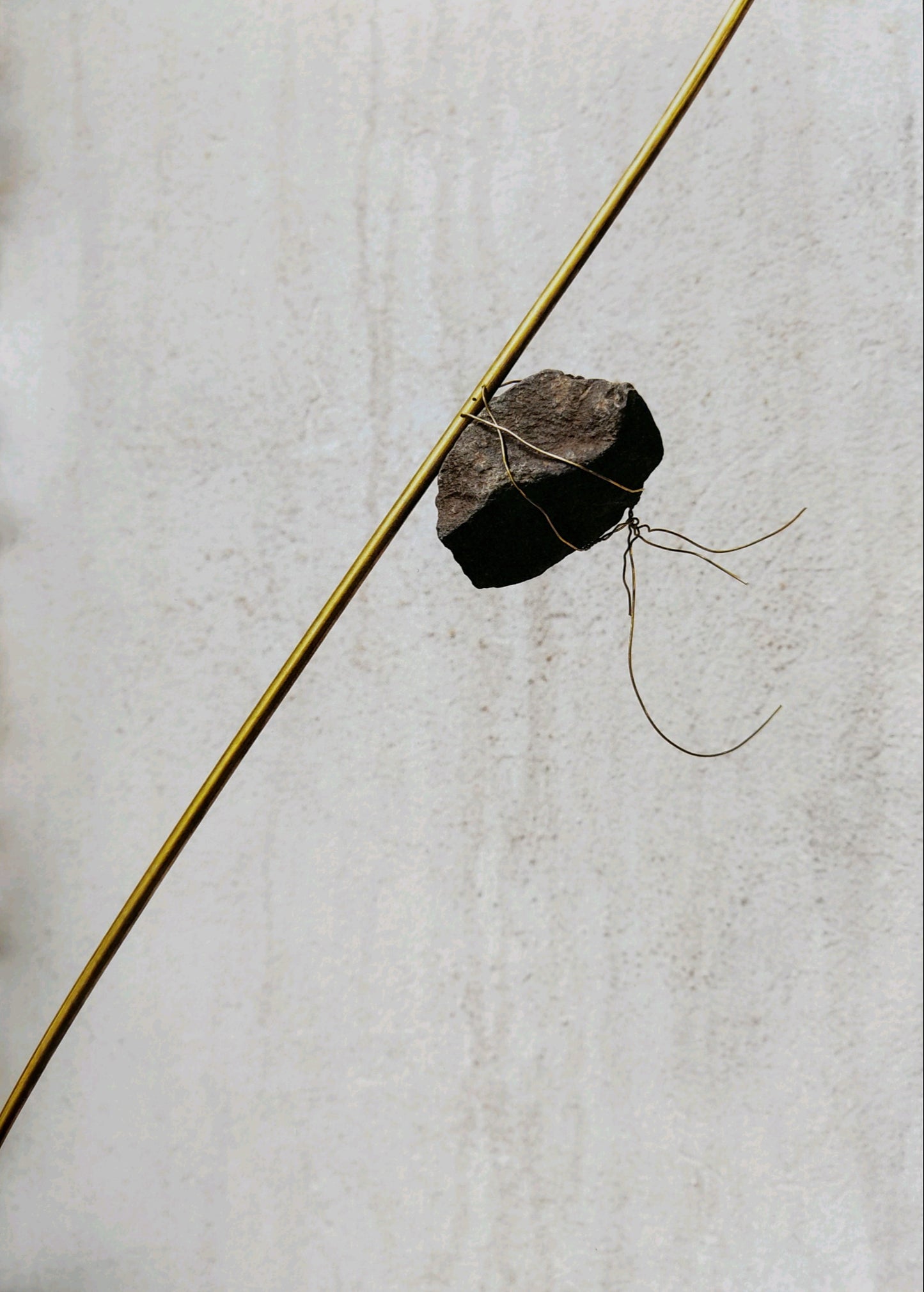 Space Shuttle in the Garden - Petrit Halilaj