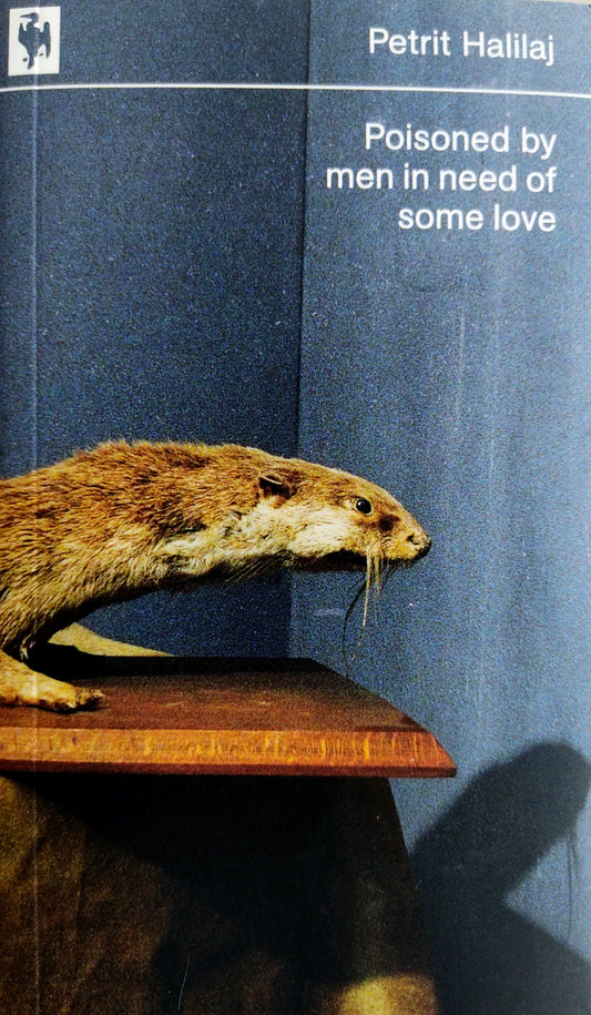 Poisoned by men in need of some love (catalogue) - by Petrit Halilaj (Chert, Motto Books, Wiels)