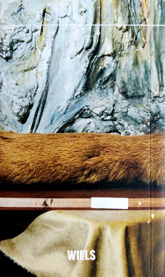 Poisoned by men in need of some love (catalogue) - by Petrit Halilaj (Chert, Motto Books, Wiels)