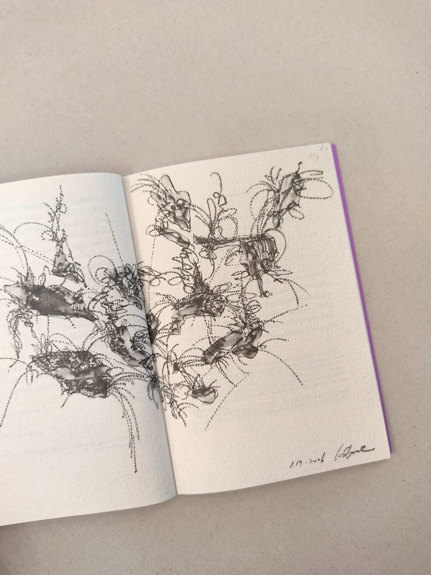 The Carrier Bag Theory of Fiction - Ursula K. Le Guin (Ignota)