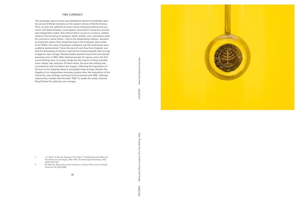 Offsetted – Cooking Sections