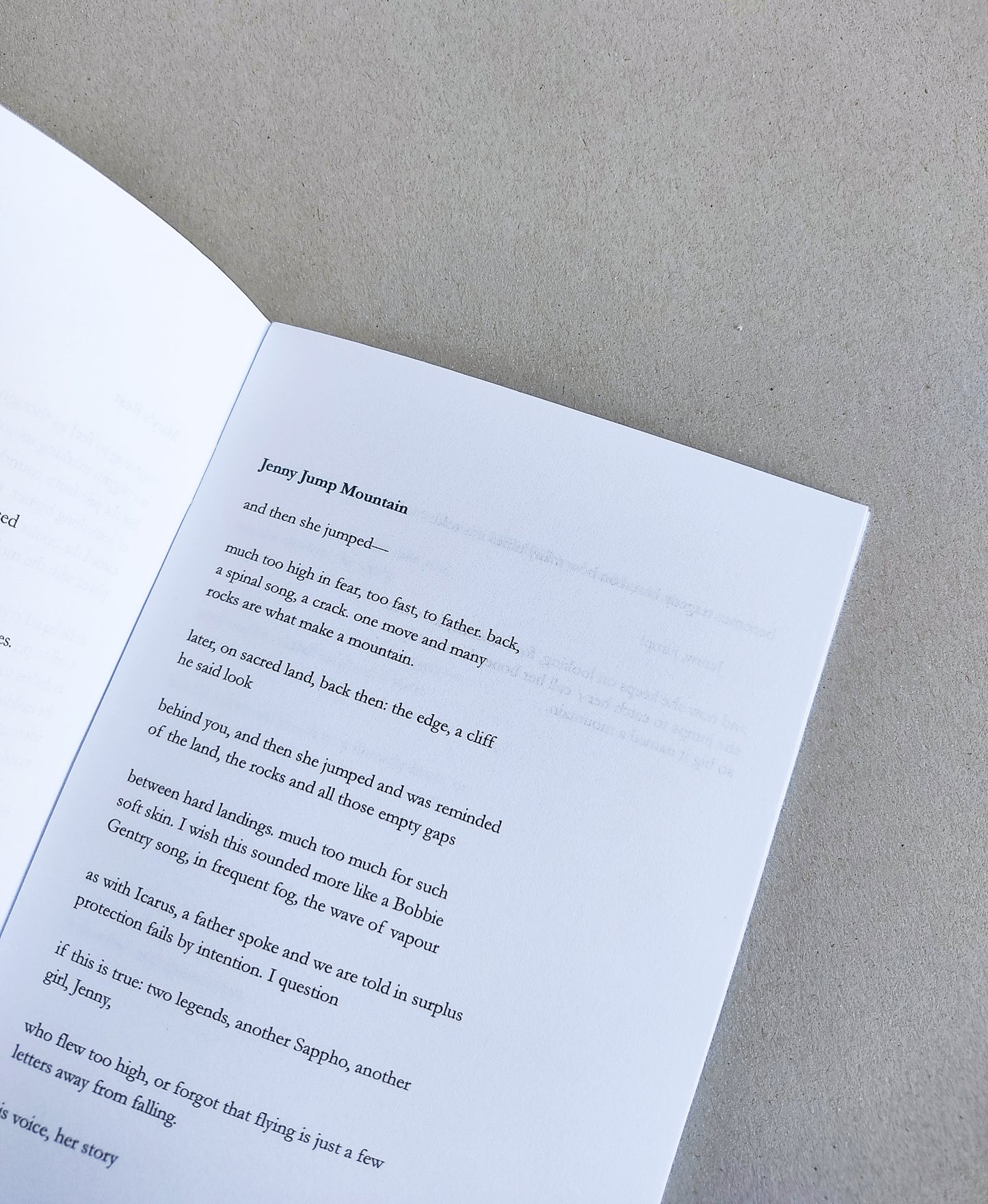 Placeholders - Nina Hanz (Bottlecamp Press)