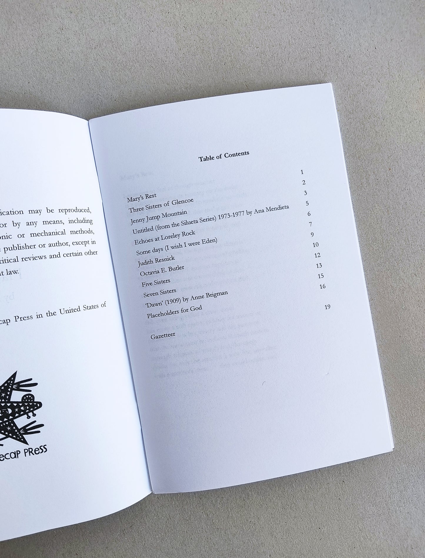 Placeholders - Nina Hanz (Bottlecamp Press)