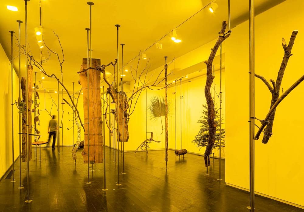 Offsetted – Cooking Sections