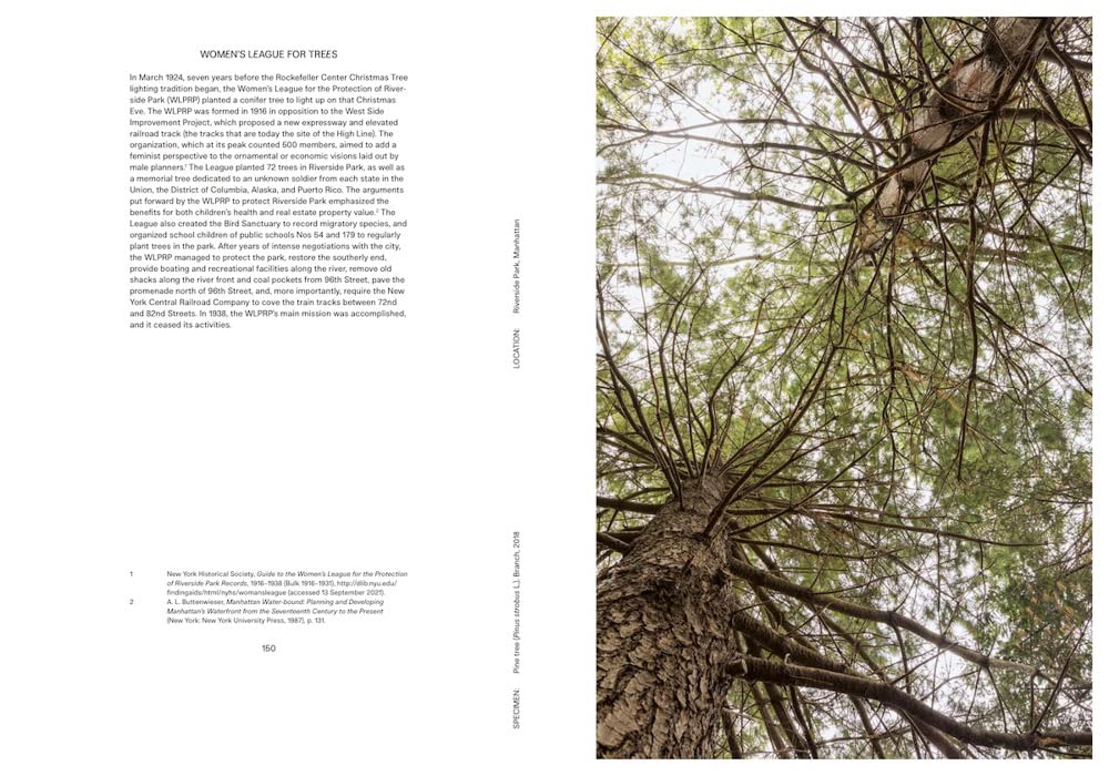 Offsetted – Cooking Sections