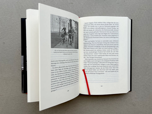 Braunes Erbe - David de Jong (Kiepenheuer & Witsch)