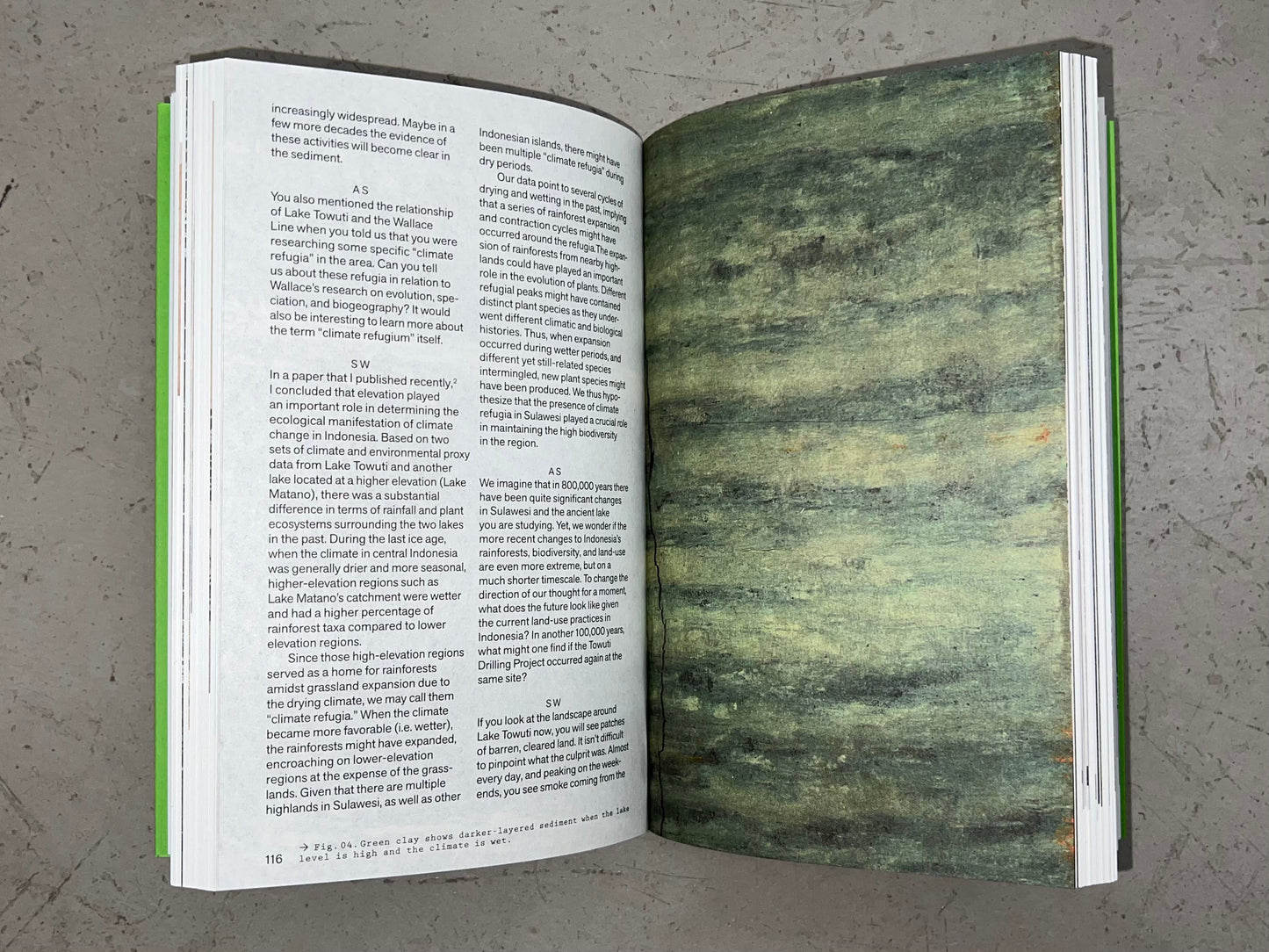 Reverse Hallucinations in the Archipelago, edited by Anna-Sophie Springer & Etienne Turpin  (K. Verlag and the Haus der Kulturen der Welt)