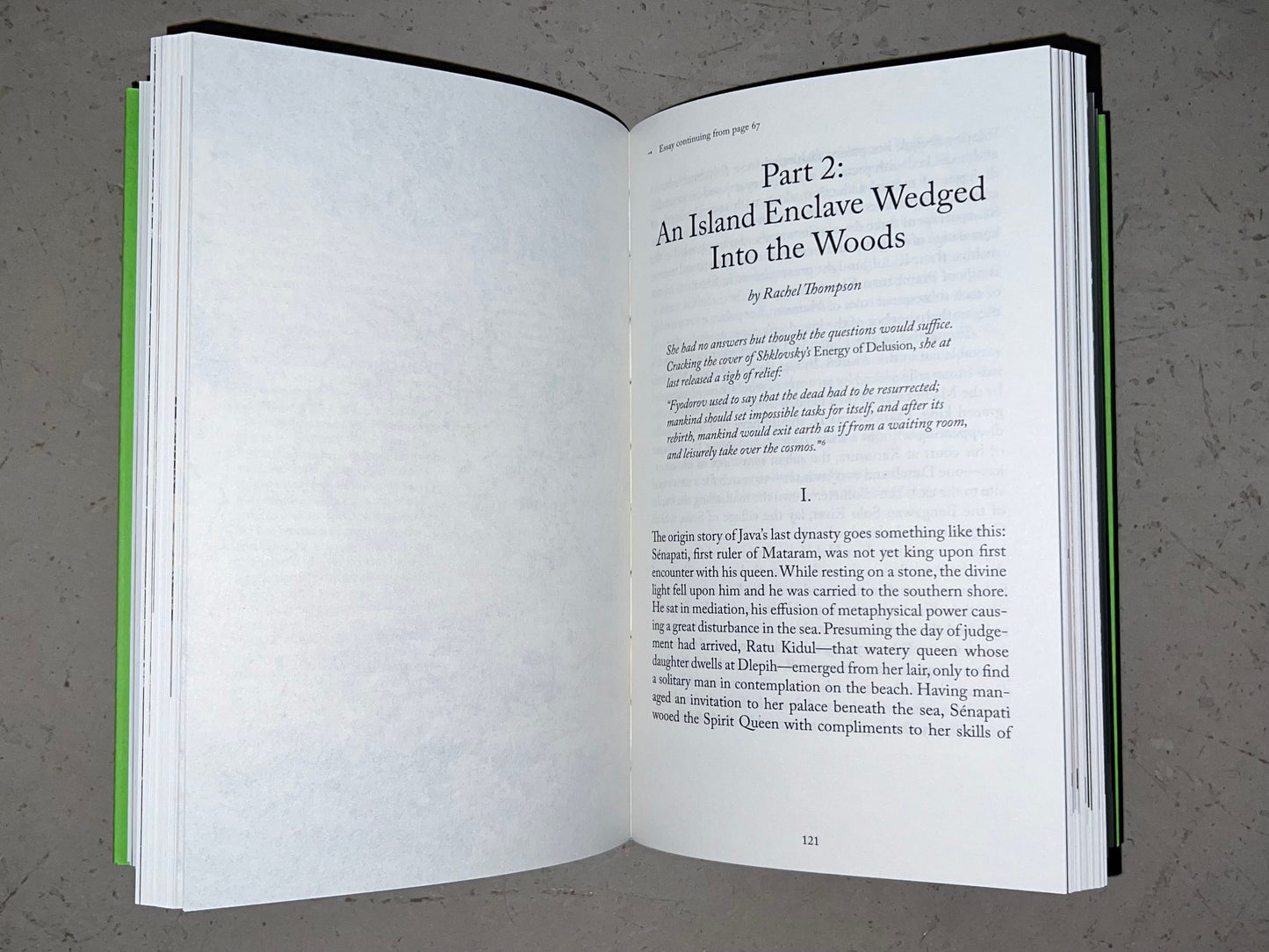 Reverse Hallucinations in the Archipelago, edited by Anna-Sophie Springer & Etienne Turpin  (K. Verlag and the Haus der Kulturen der Welt)