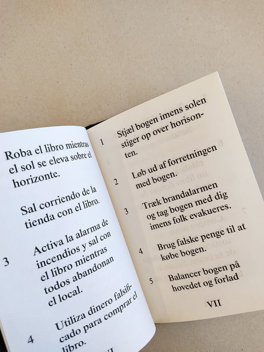 Cómo robar libros, Borgrov - David Horvitz (Automatic Books)