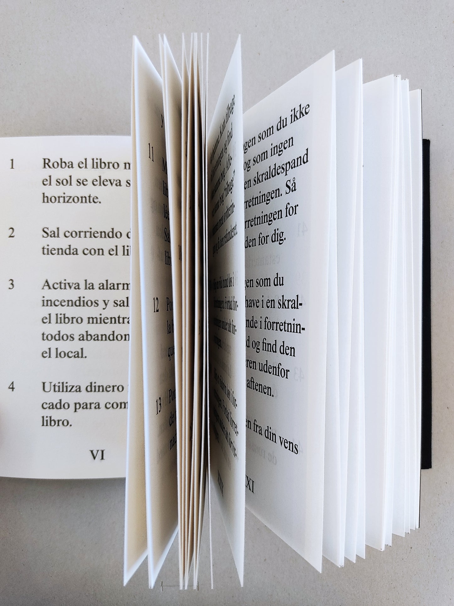 Cómo robar libros, Borgrov, by David Horvitz (Automatic Books)