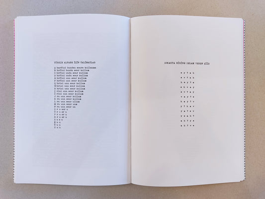 HA’LAR, by Ege Berensel (BAS – İstanbul Sanat Araştırmaları Derneği)