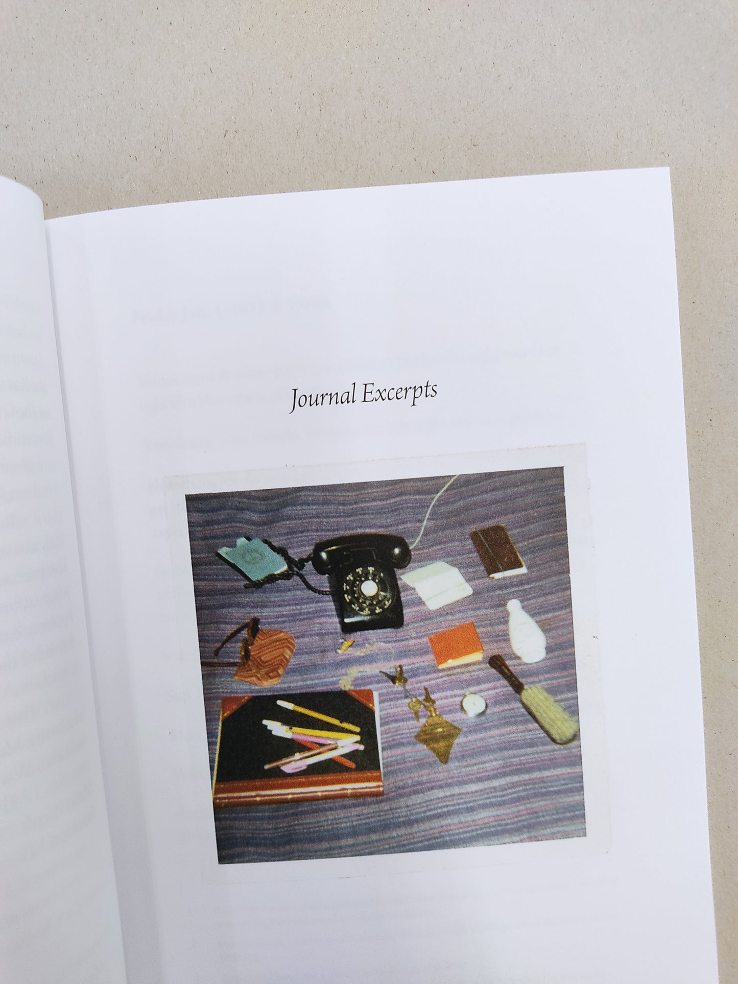 Excerpts from the 1971 Journal of Rosemary Mayer - Rosemary Mayer, edited by Marie Walsh (Soberscove Press)