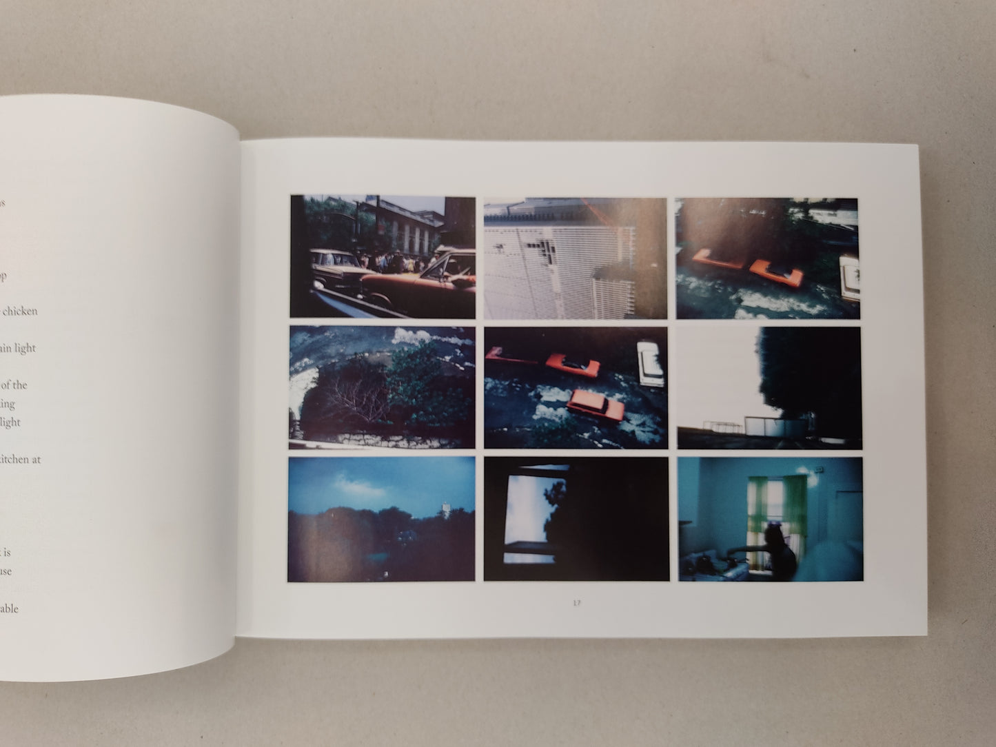 Memory - Bernadette Mayer (Siglio Press and Bernadette Mayer)