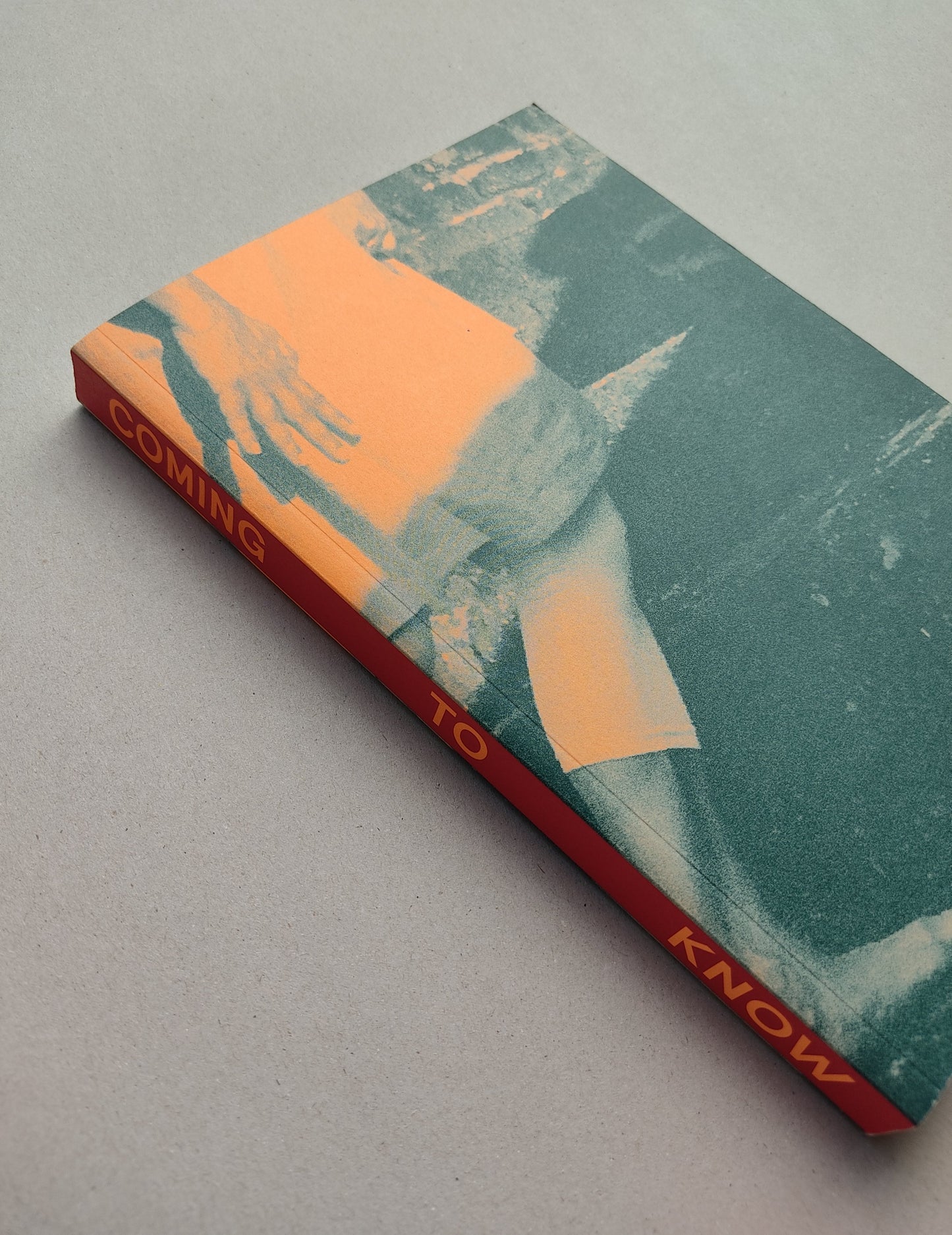 Coming to Know - Edited by Nida Ghouse and Brooke Holmes (Archive Books)