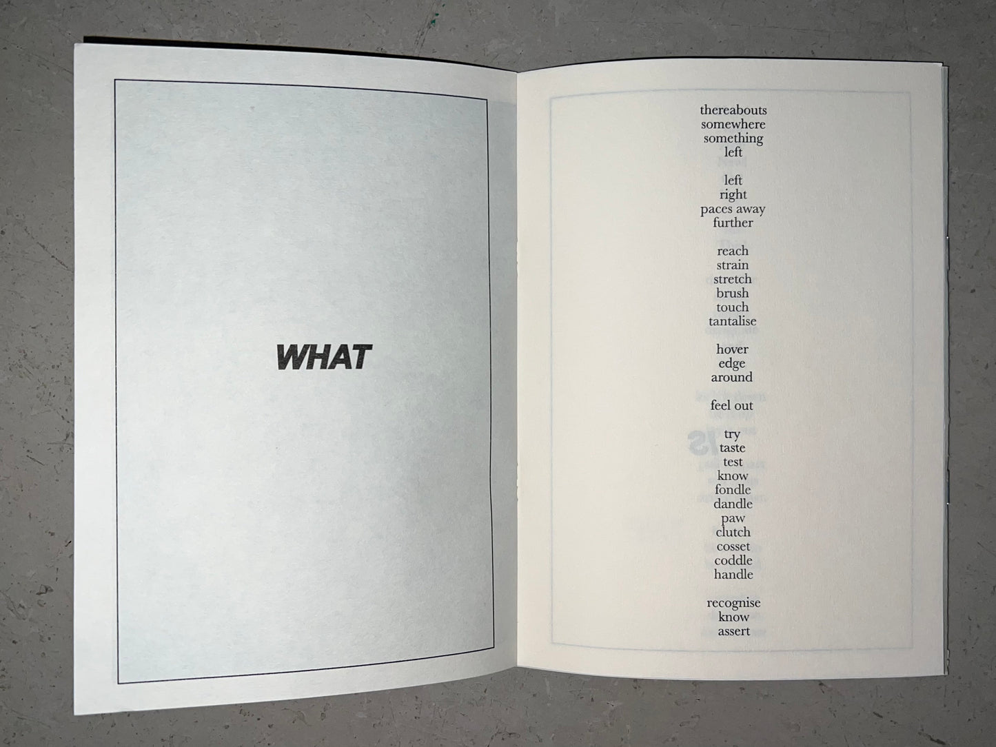 A.A.A.A. - Lucy Coggle (Chert)