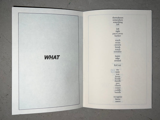 A.A.A.A. - Lucy Coggle (Chert)