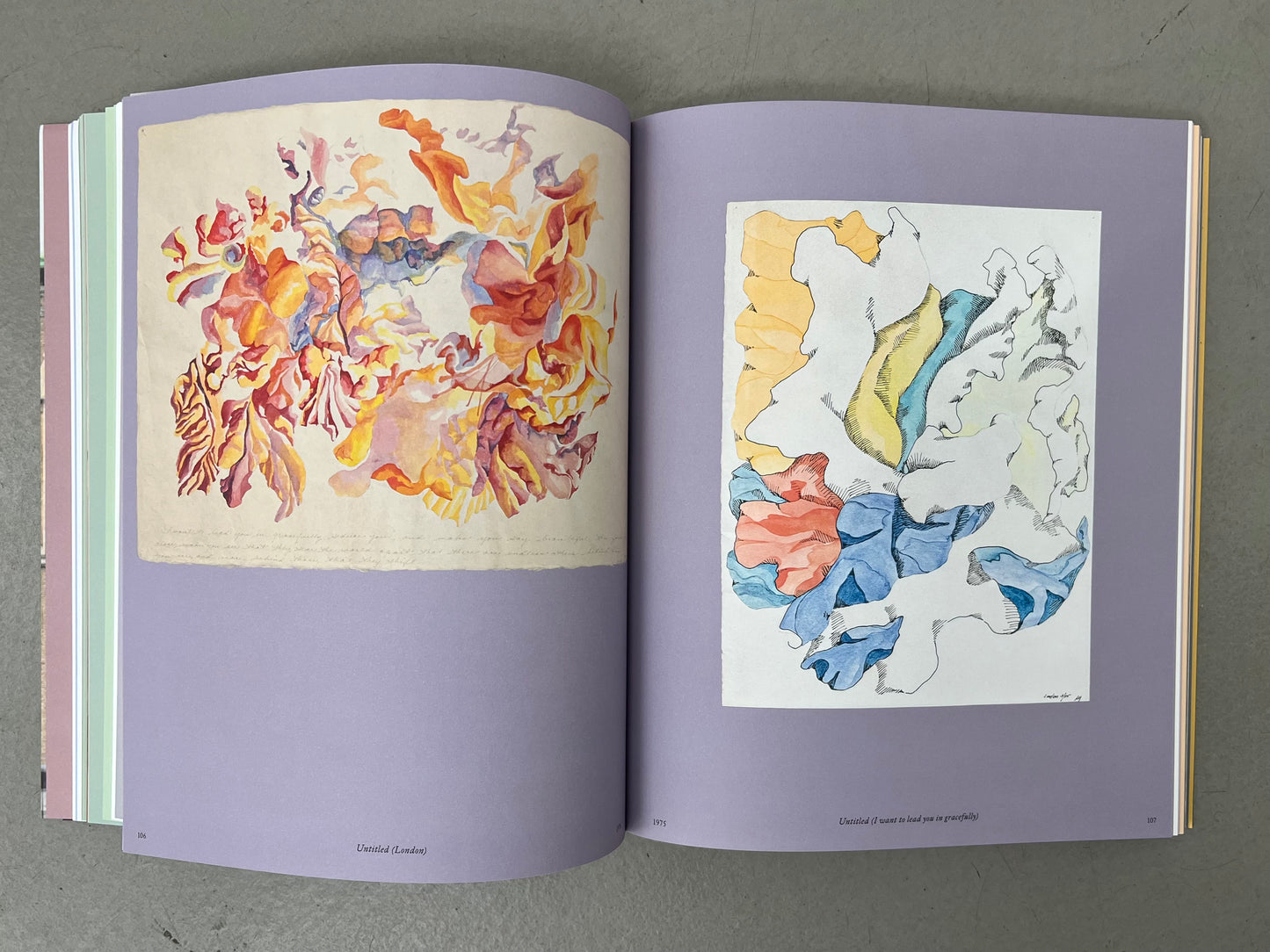 Ways of Attaching - Rosemary Mayer (Lenbachhaus, Ludwig Forum, Spike Island, Swiss Institute, Walther and Frank König Books)